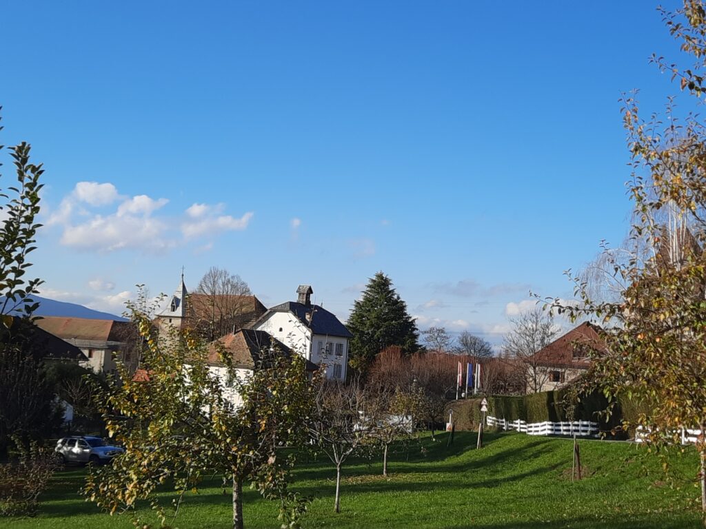 Préservation de la biodiversité au cœur de notre village...