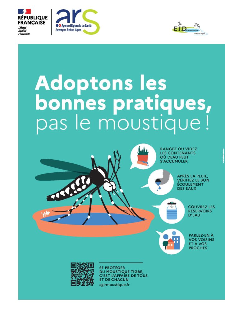 Reconnaître le moustique tigre, comprendre les risques et adopter les bons gestes au quotidien